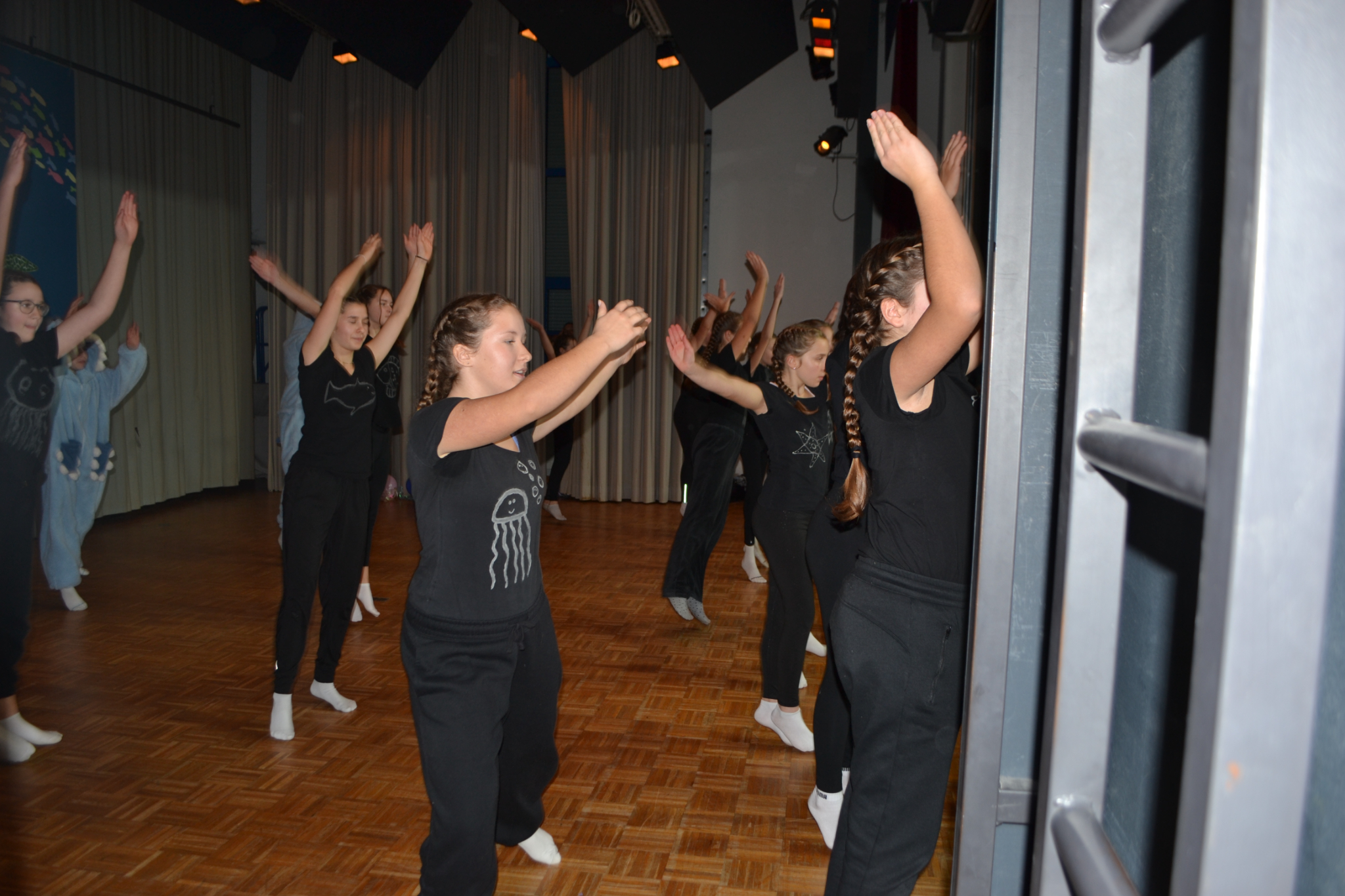 Bild2 (81)